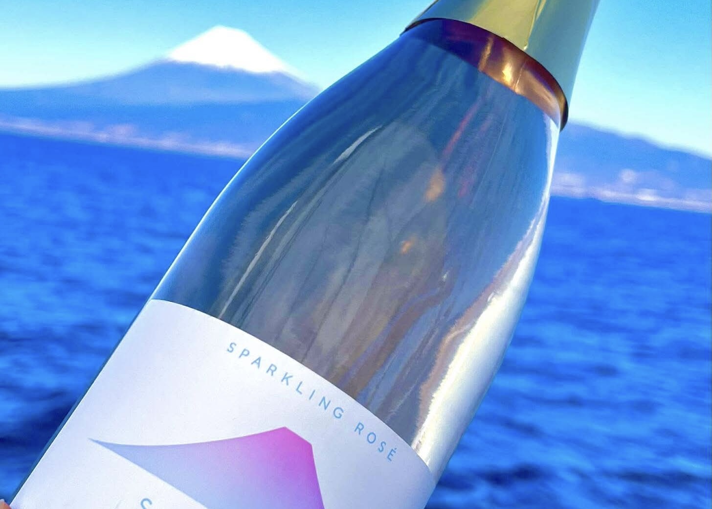 西伊豆宇久須１泊2日新年会